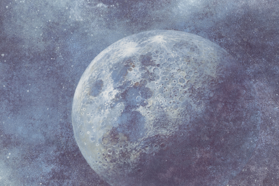 PALITRA HOME HC72367-64