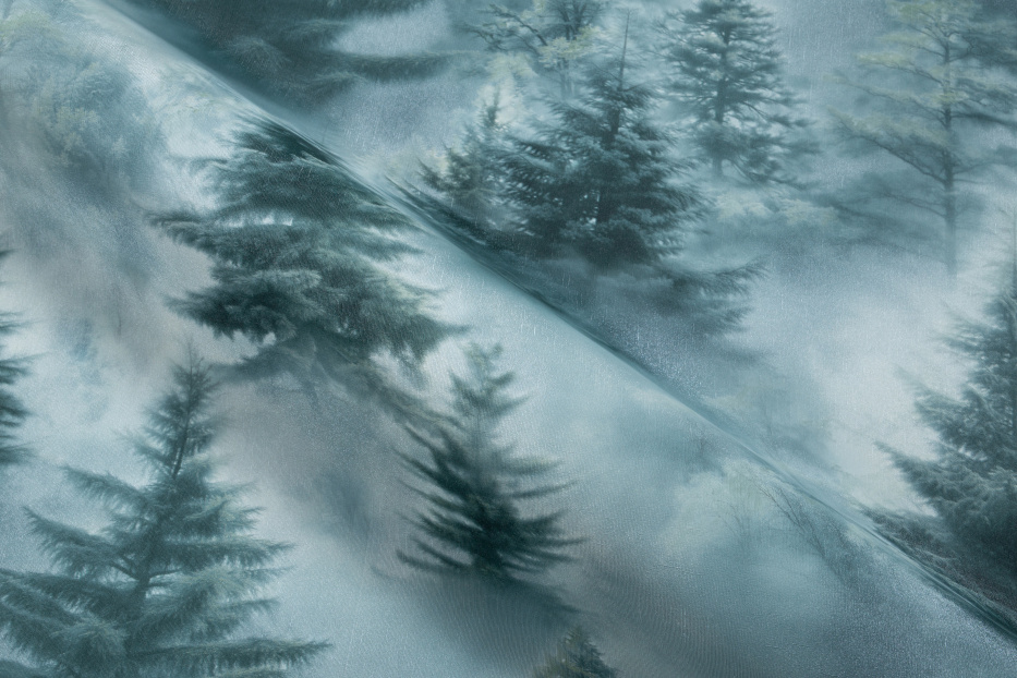 PALITRA HOME HC72551-67