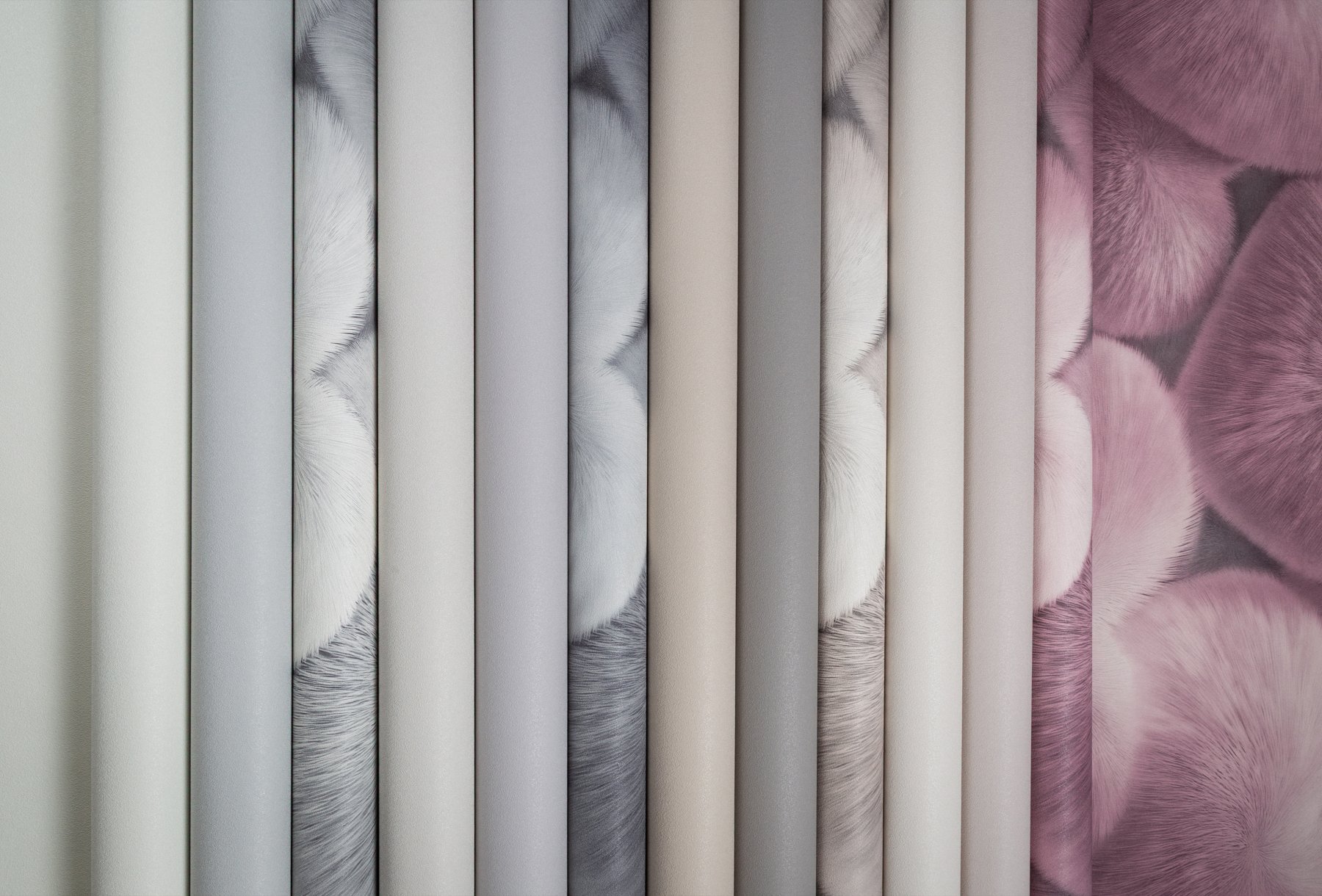 Макро-изображение 1 (группа 1)