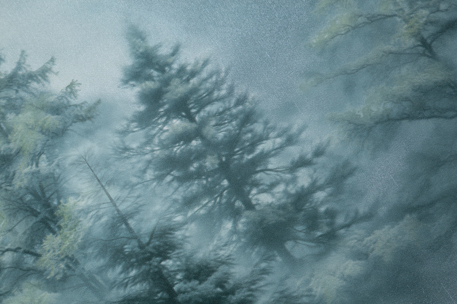 PALITRA HOME HC72551-67