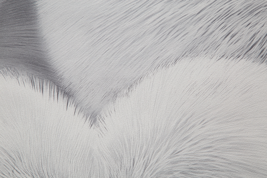 PALITRA HOME HC72585-14