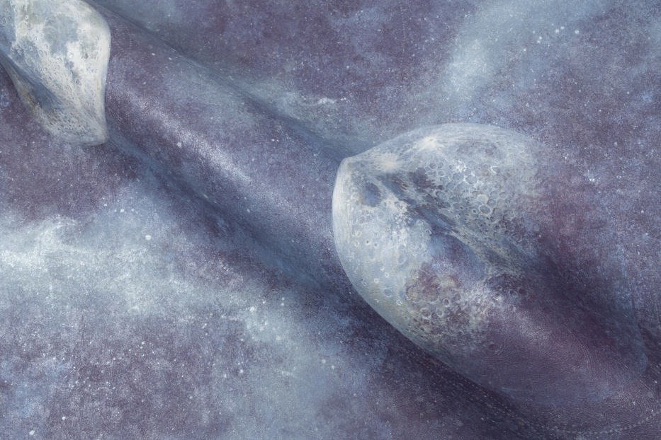 PALITRA HOME HC72367-64