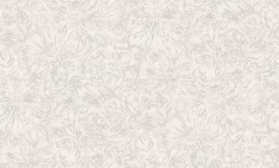 PL71706-11