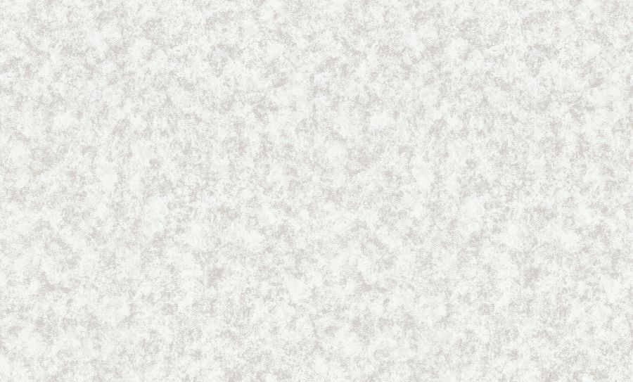 HC31073-56